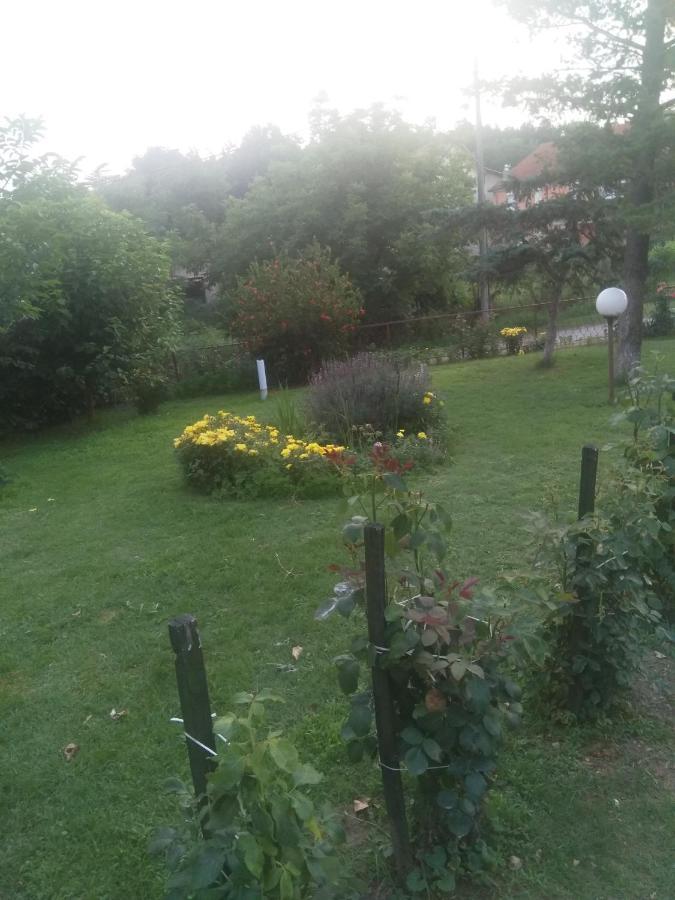 Family Apartman Ana - Star Golubac Exterior photo